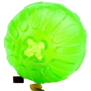 Starmark Treat Dispensing Dog Toy